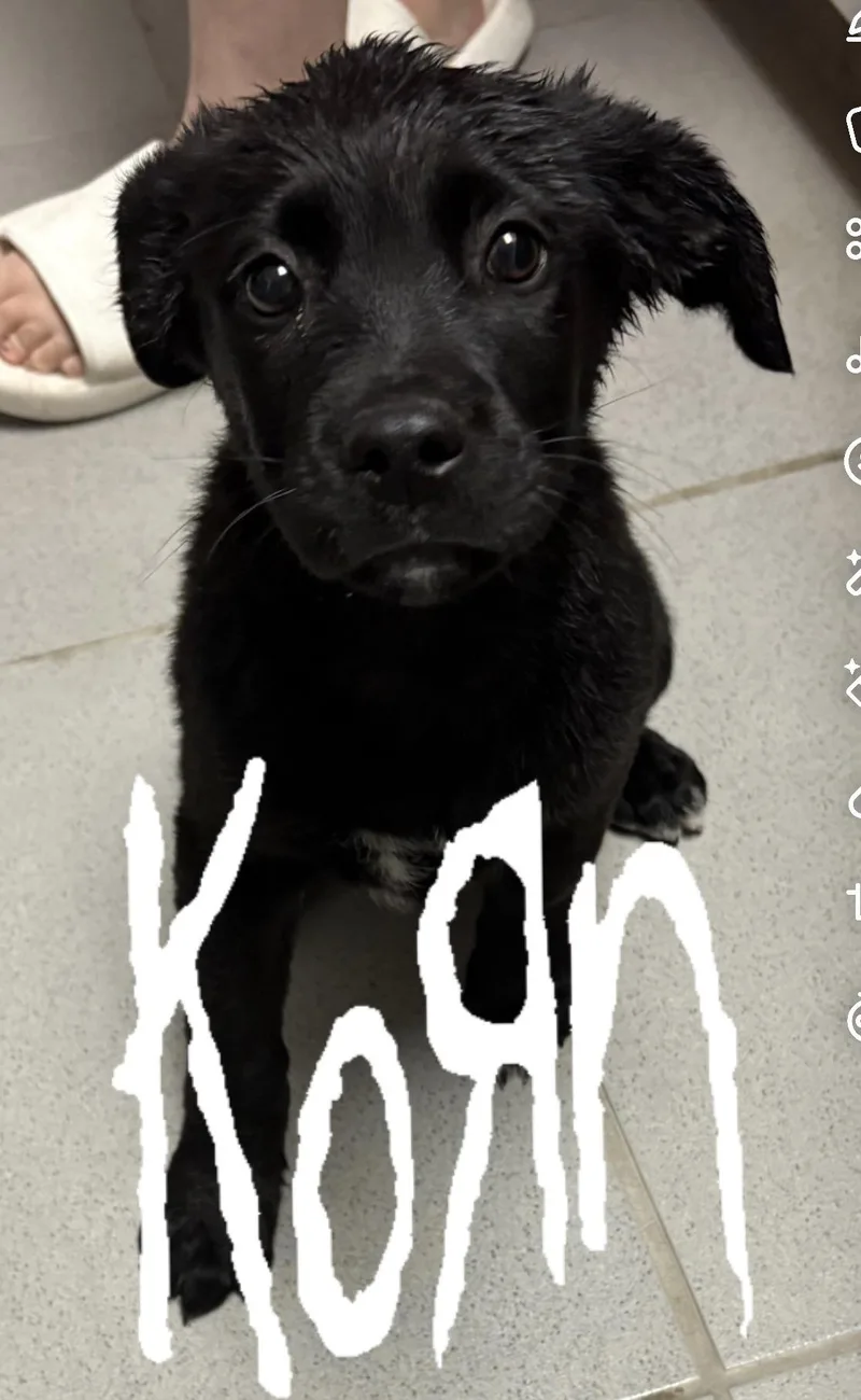 Warped Tour Litter thumbnail 3