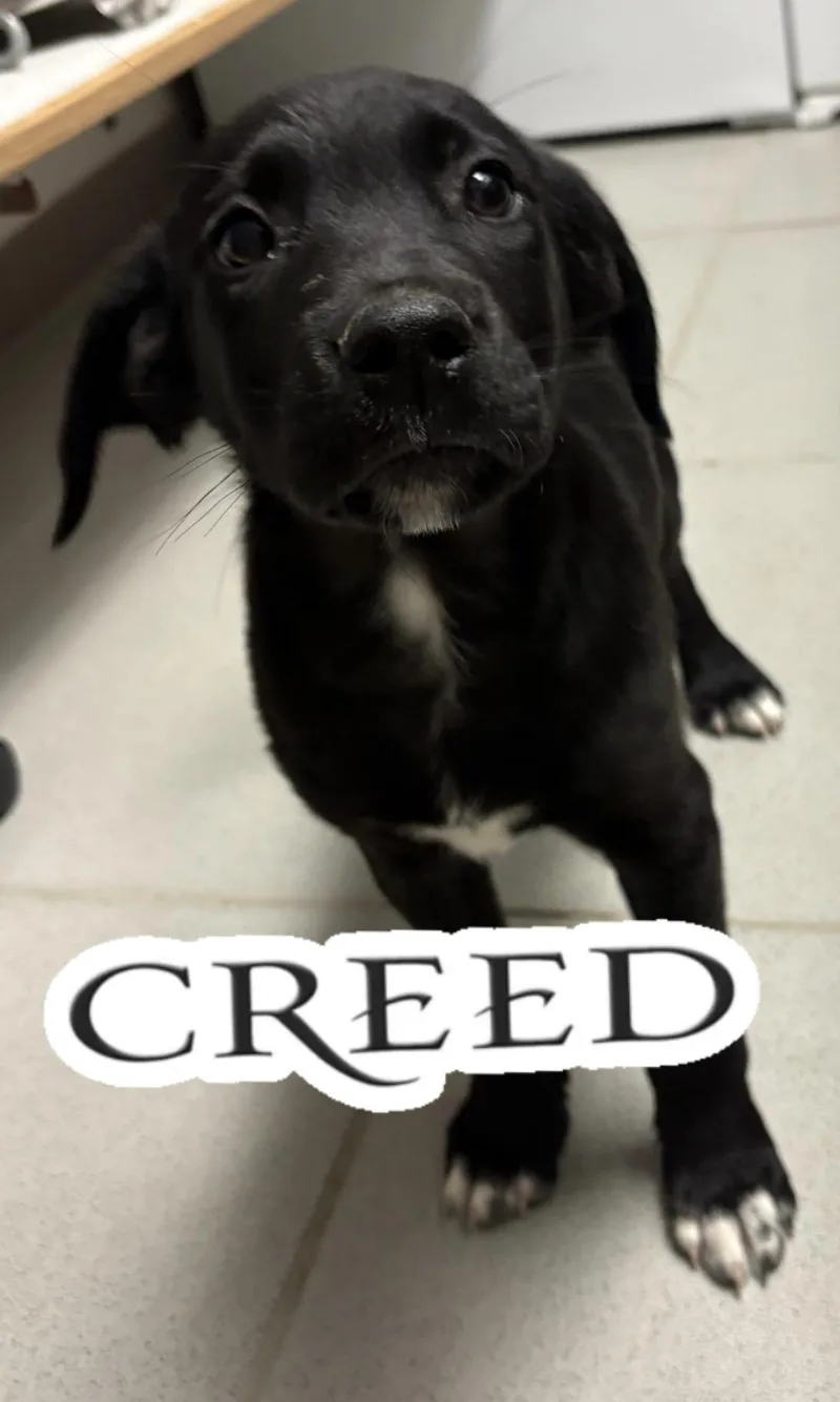 Warped Tour Litter thumbnail 4