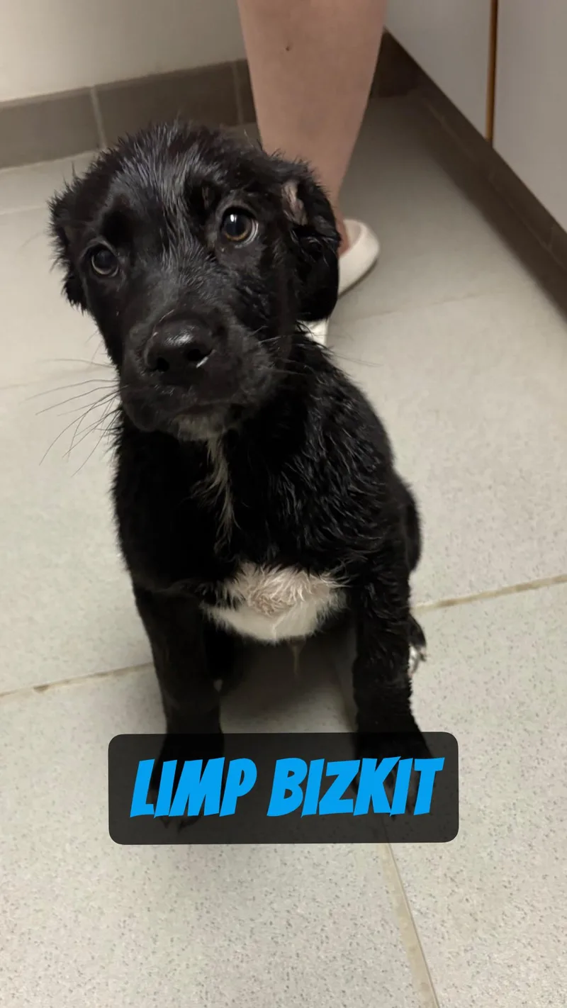 Warped Tour Litter thumbnail 5