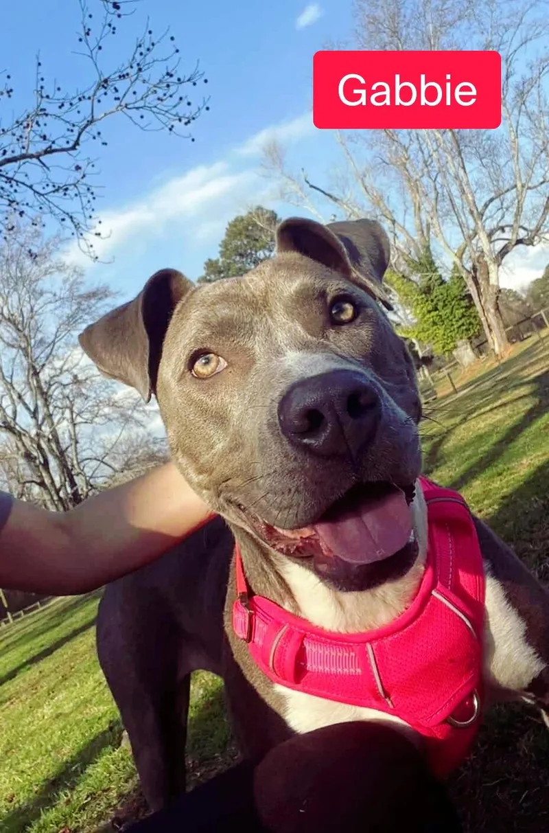 Gabbie thumbnail 4