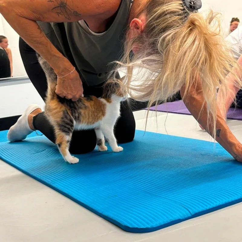 Alley thumbnail 3