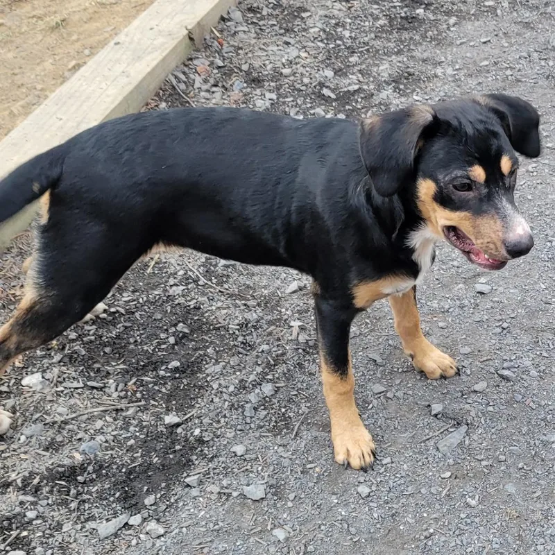 Hazel  Fee Sponsored thumbnail 3