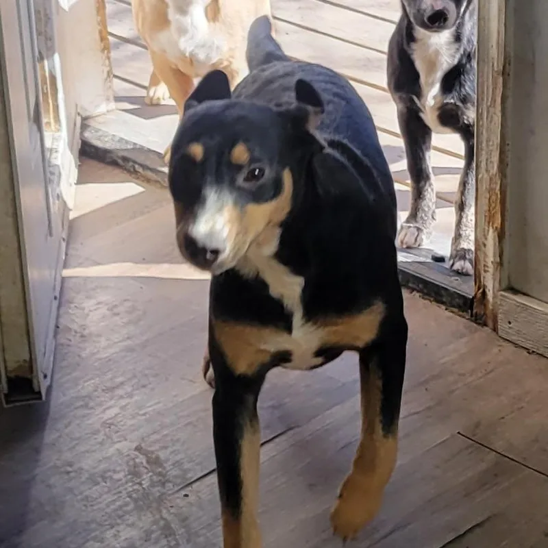 Hazel  Fee Sponsored thumbnail 4