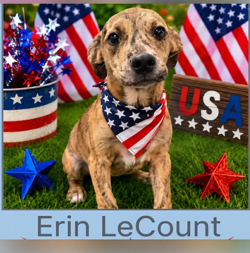 Erin LaCount