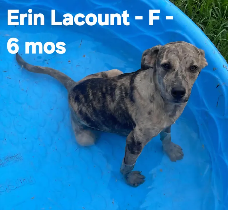 Erin LaCount thumbnail 2