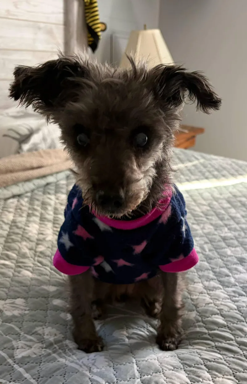 Missy thumbnail 2