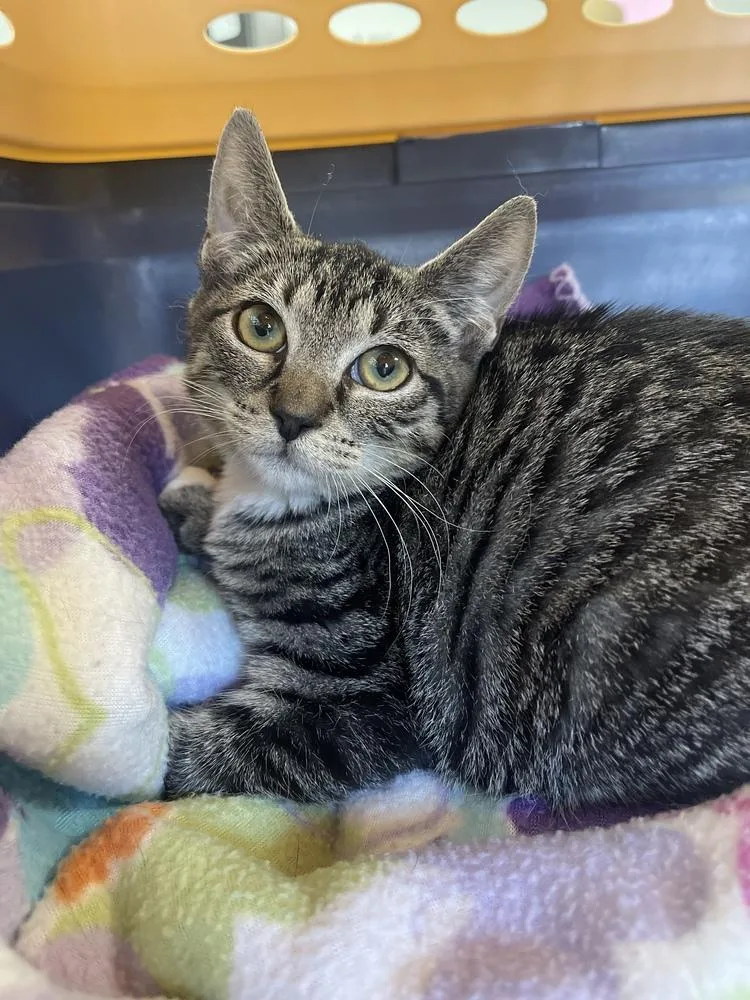 Geneva Orchard thumbnail 4