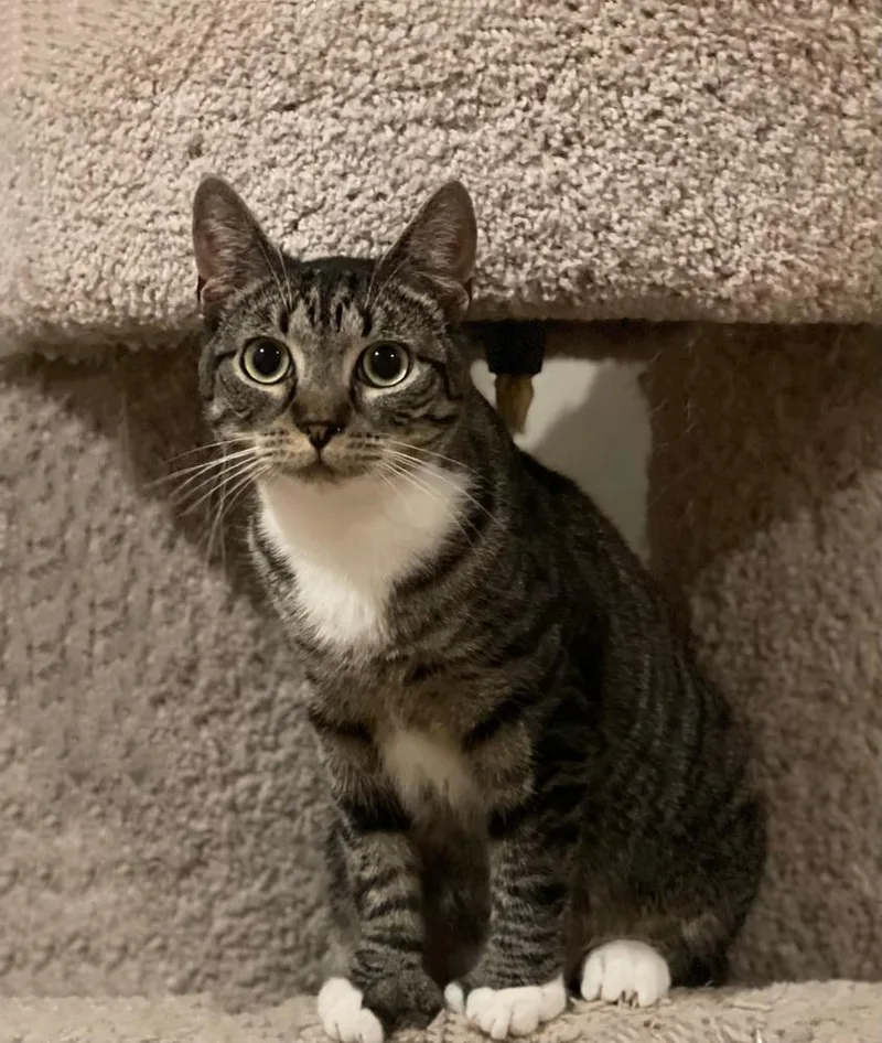 Geneva Orchard thumbnail 5