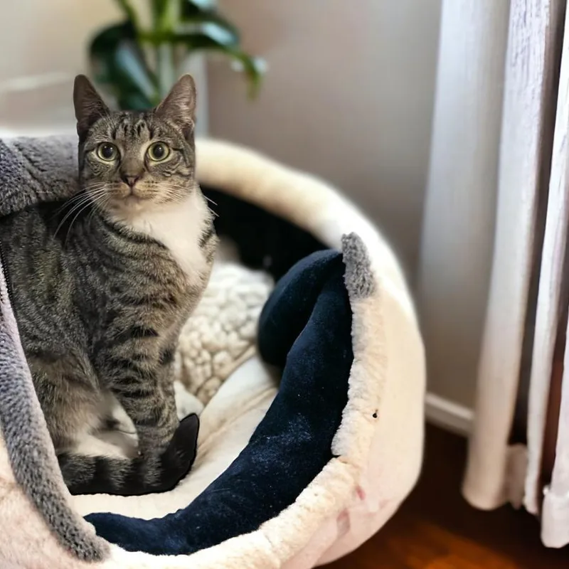 Geneva Orchard thumbnail 6