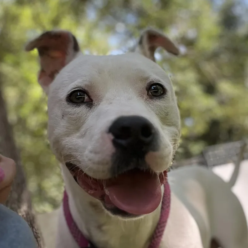 Freckles thumbnail 2