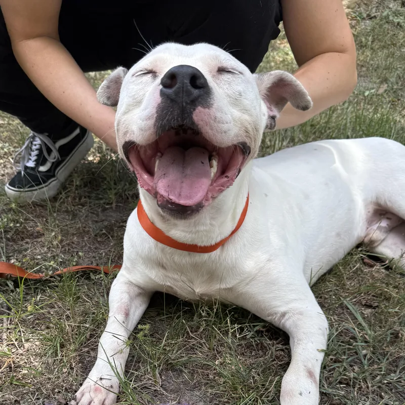 Freckles thumbnail 4