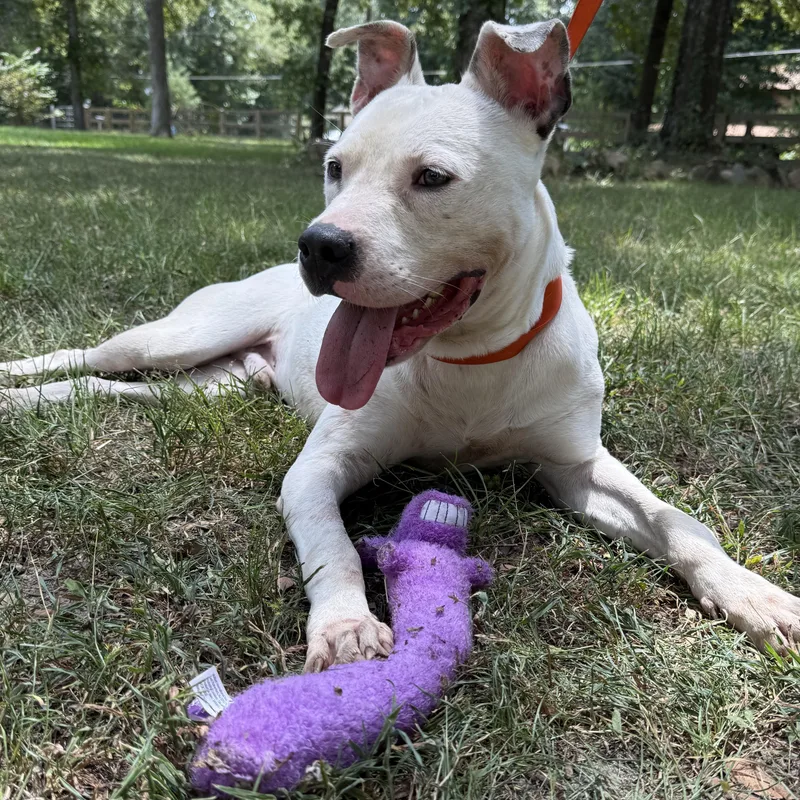 Freckles thumbnail 6