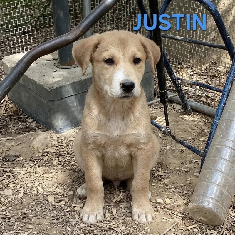 NY Justin Avail Aug thumbnail 4