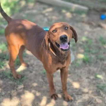 Cole thumbnail 2