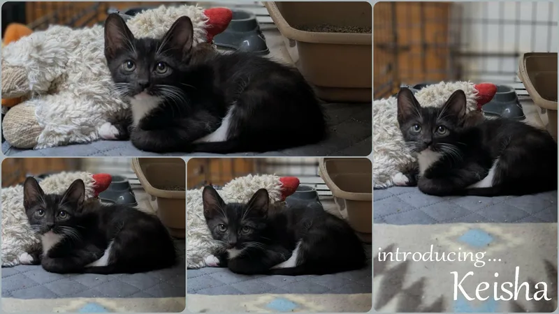 Keisha thumbnail 2