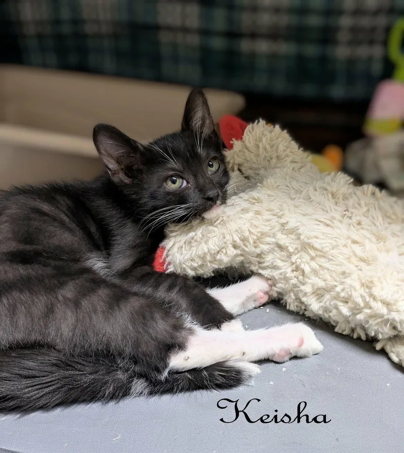 Keisha thumbnail 3