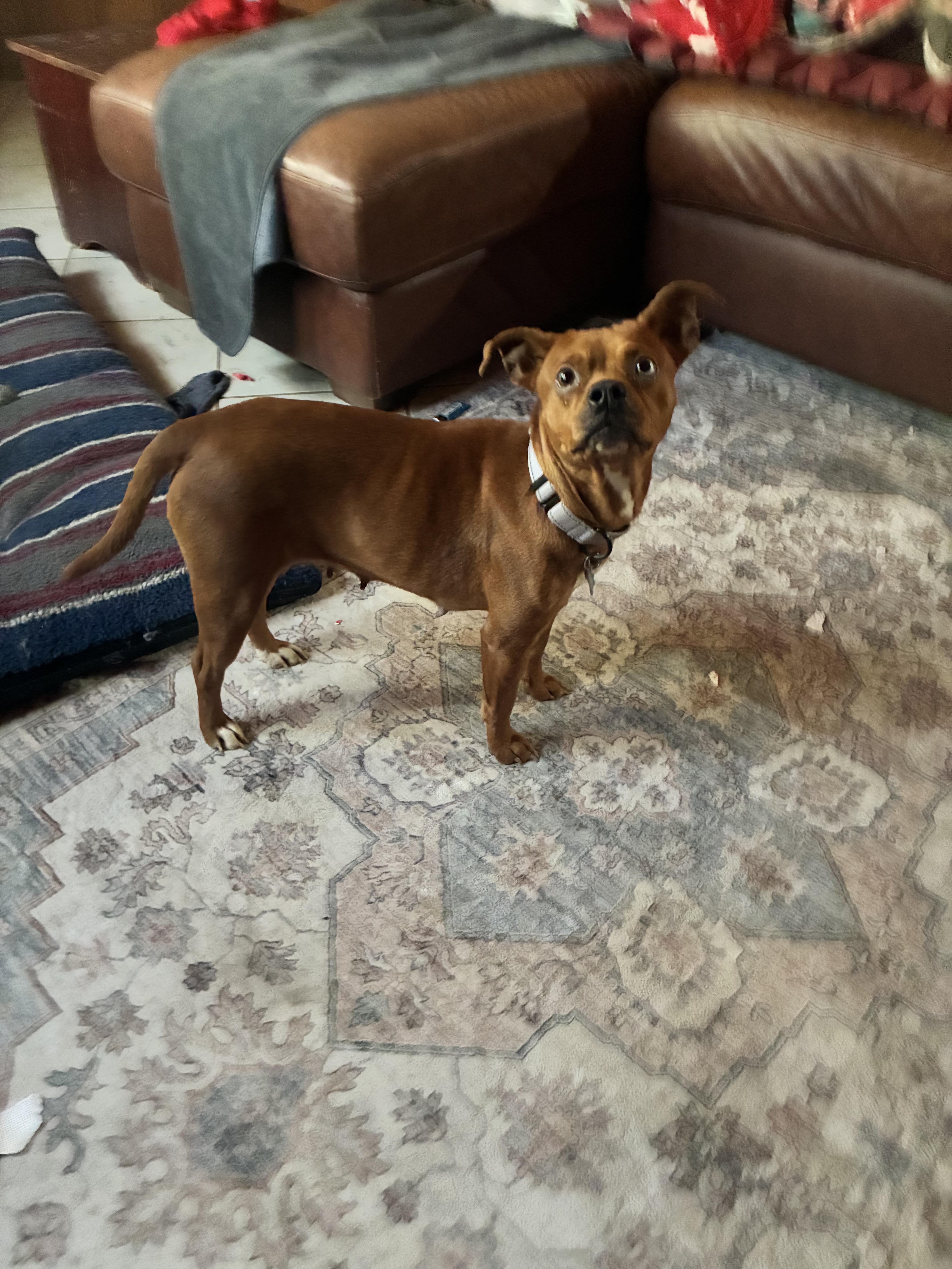 Lil Mama thumbnail 3