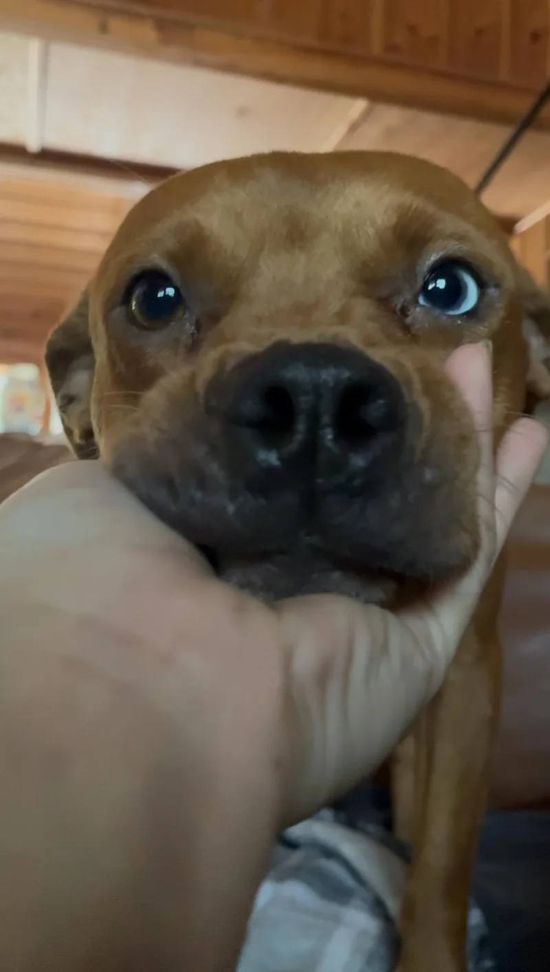 Lil Mama thumbnail 4