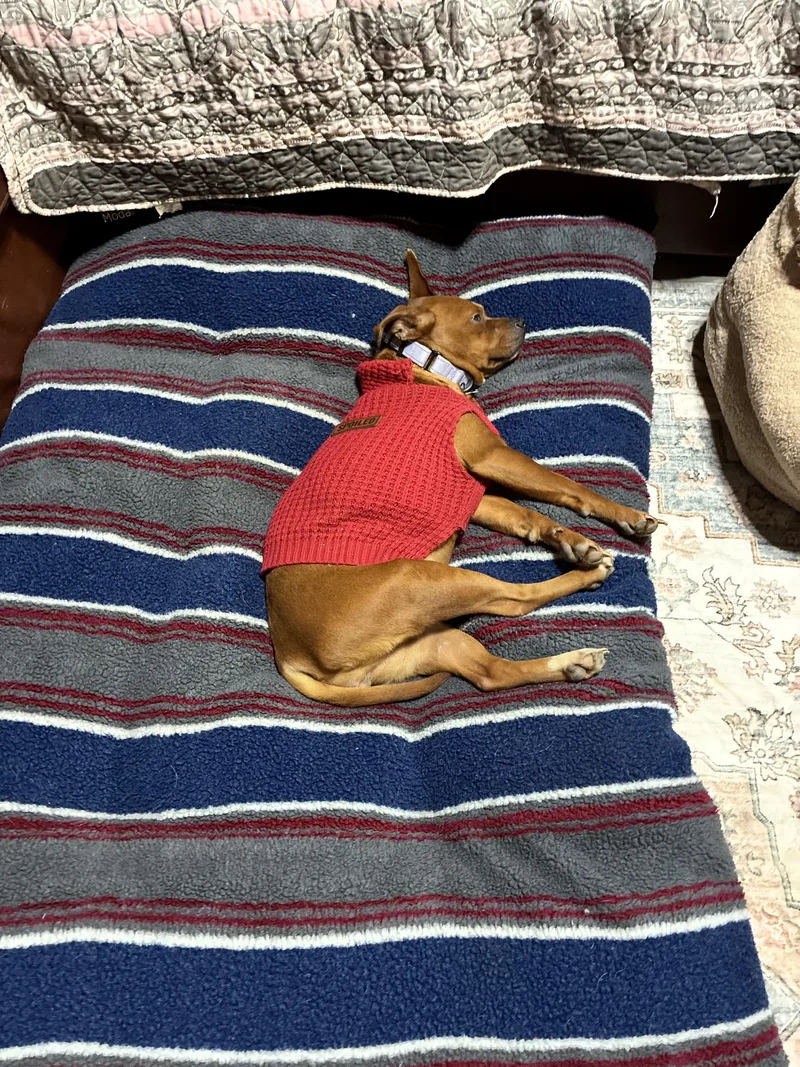 Lil Mama thumbnail 5