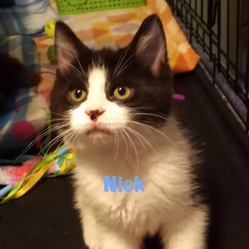 Nick