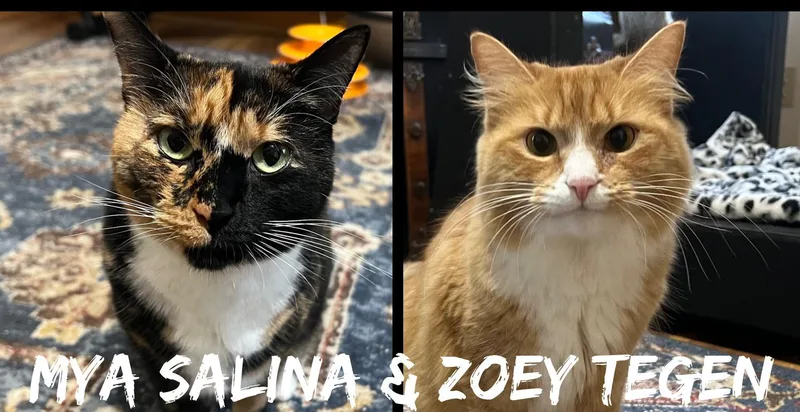 Mya Selina & Zoey thumbnail 5