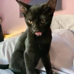 Ms. Green thumbnail 3