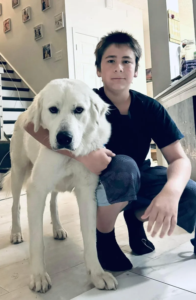 Ricardo Gp thumbnail 2