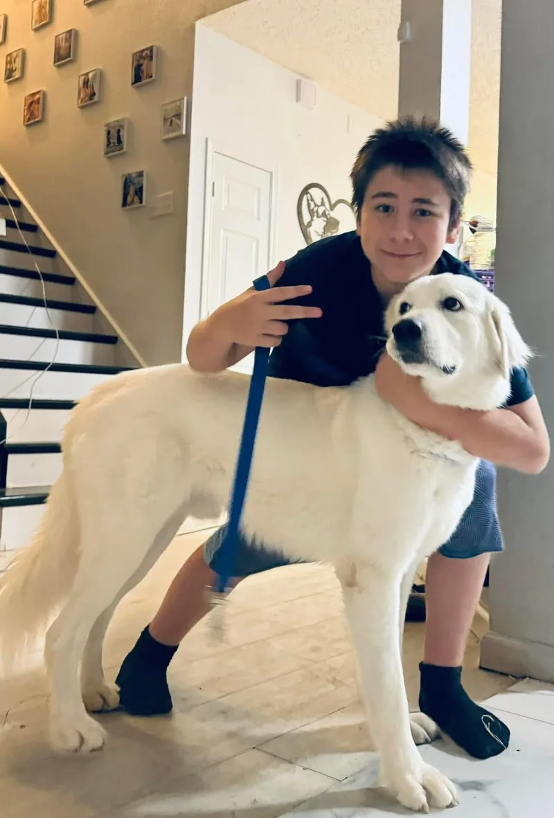 Ricardo Gp thumbnail 4