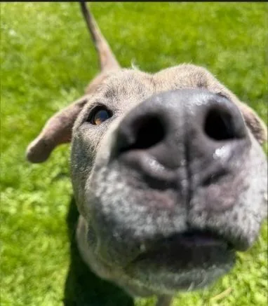Hugo thumbnail 2