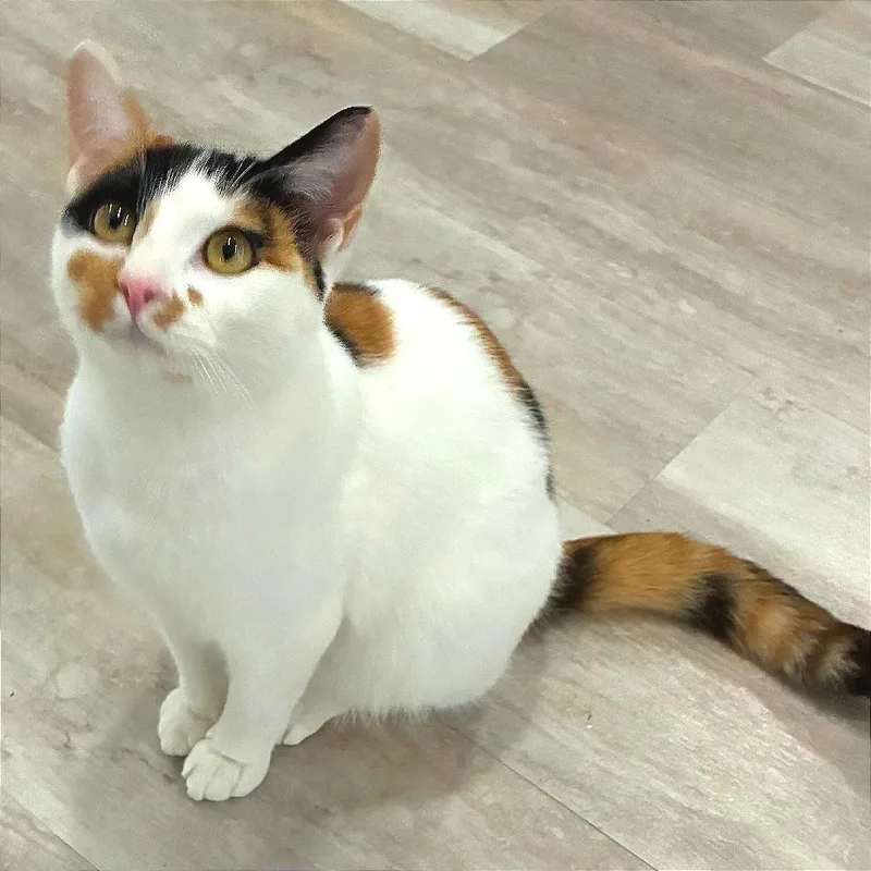 Baby Ruth thumbnail 2