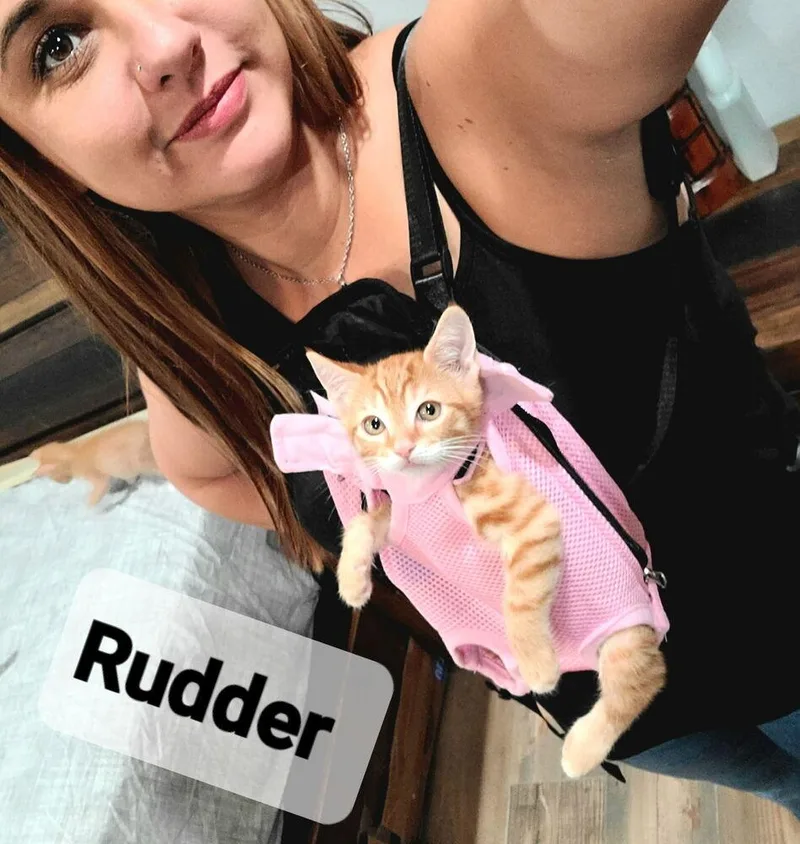 Rudder thumbnail 5