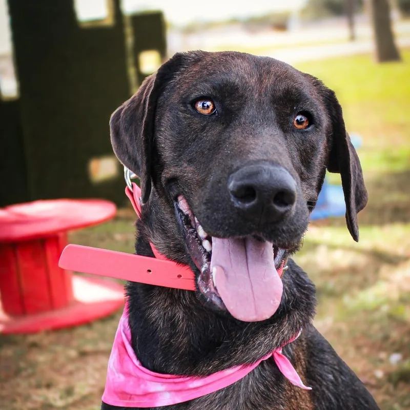 Millicent thumbnail 4