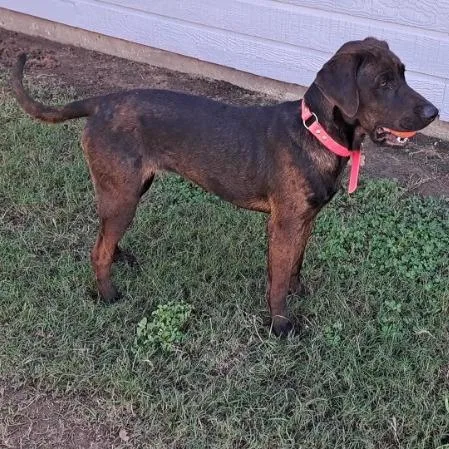 Millicent thumbnail 5