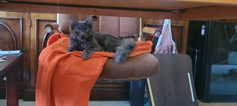 Karal  I Love thumbnail 2