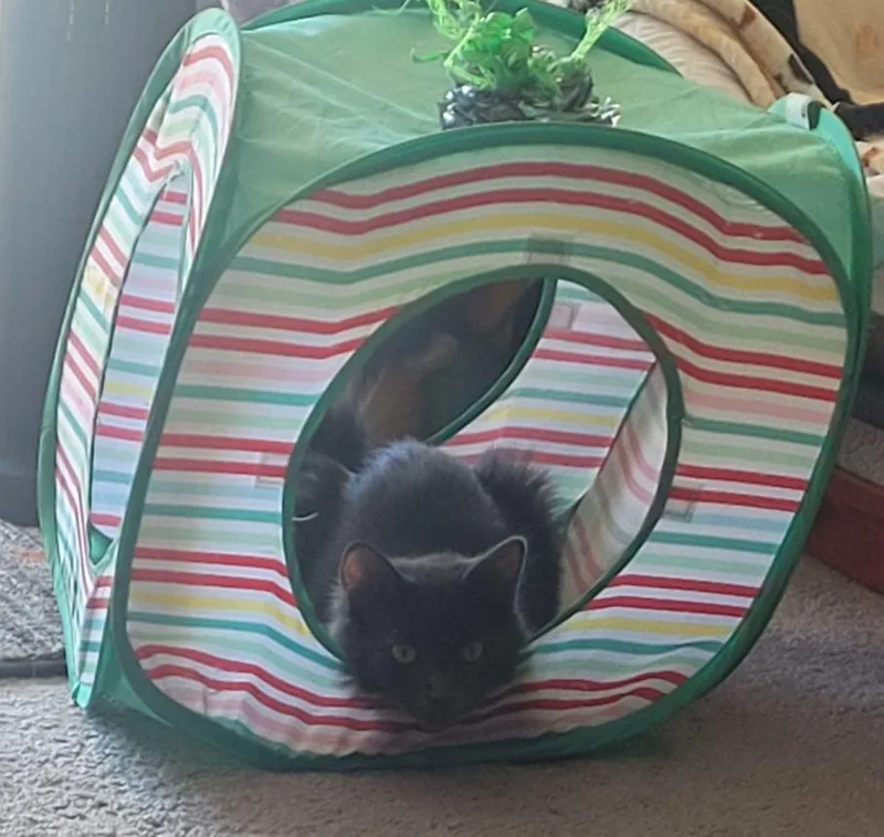 Karal  I Love thumbnail 3