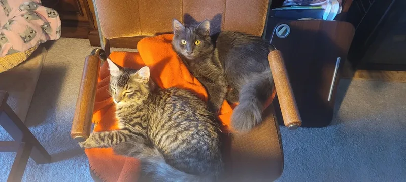 Karal  I Love thumbnail 4