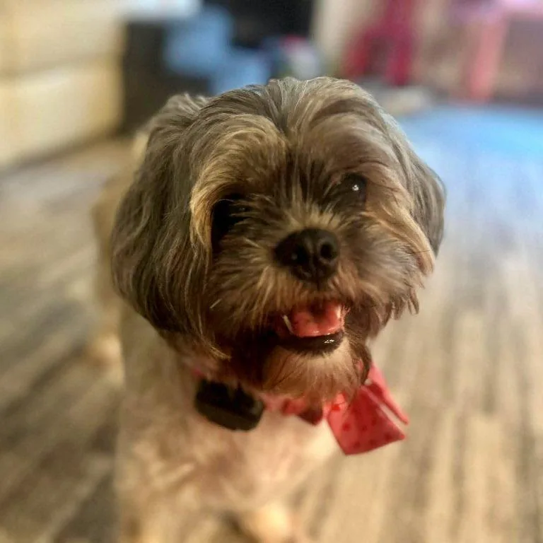 Pebbles