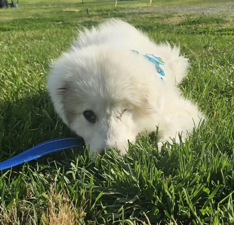 Sebastian In Ny thumbnail 2