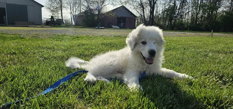 Sebastian In Ny thumbnail 3