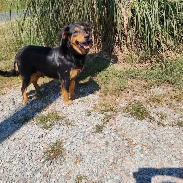 Greta