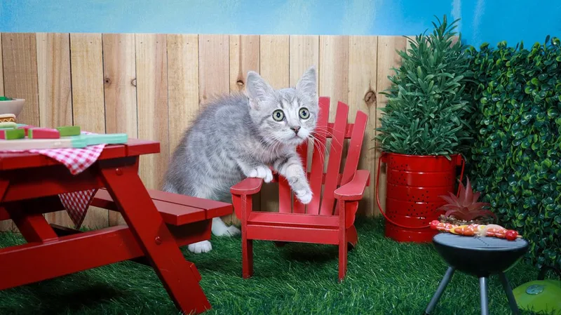 Baby Yoda thumbnail 2