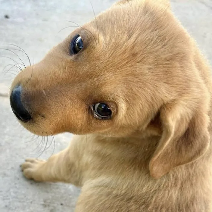 Caroline thumbnail 3