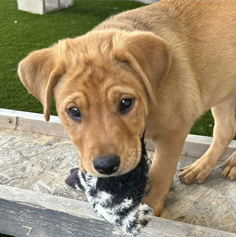 Caroline thumbnail 5