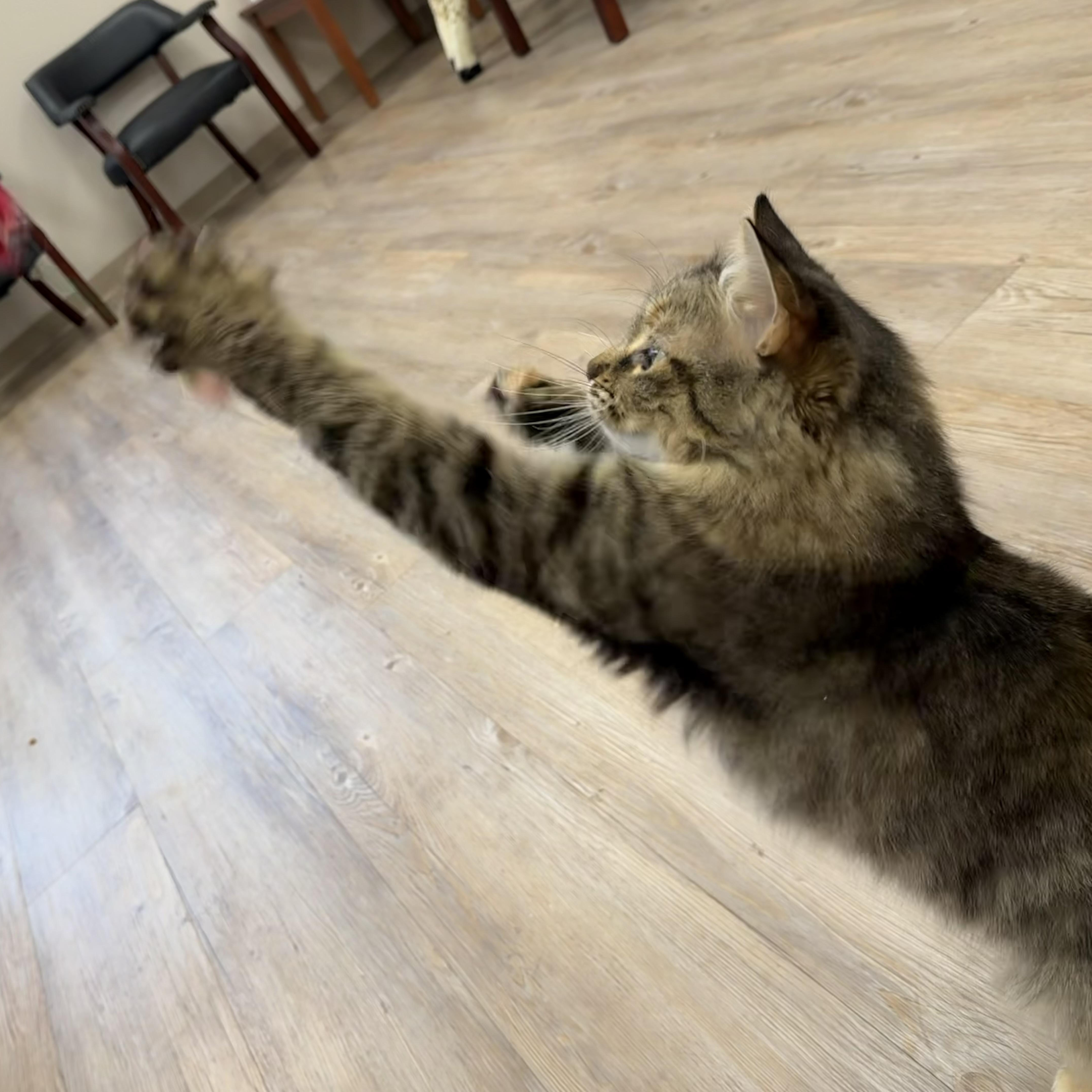 Ellie thumbnail 2