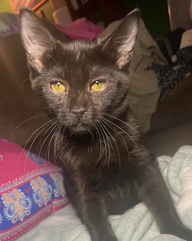 Courtney thumbnail 3