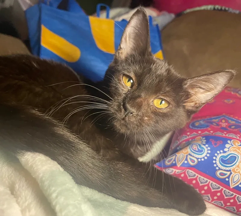 Courtney thumbnail 4