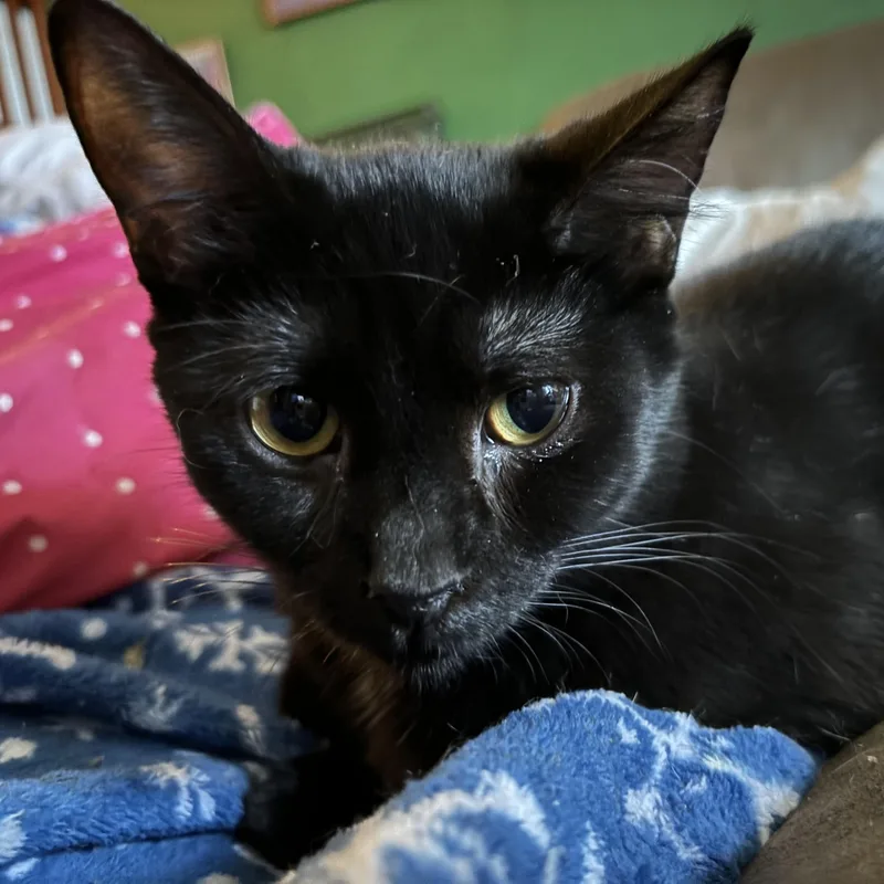 Courtney thumbnail 5