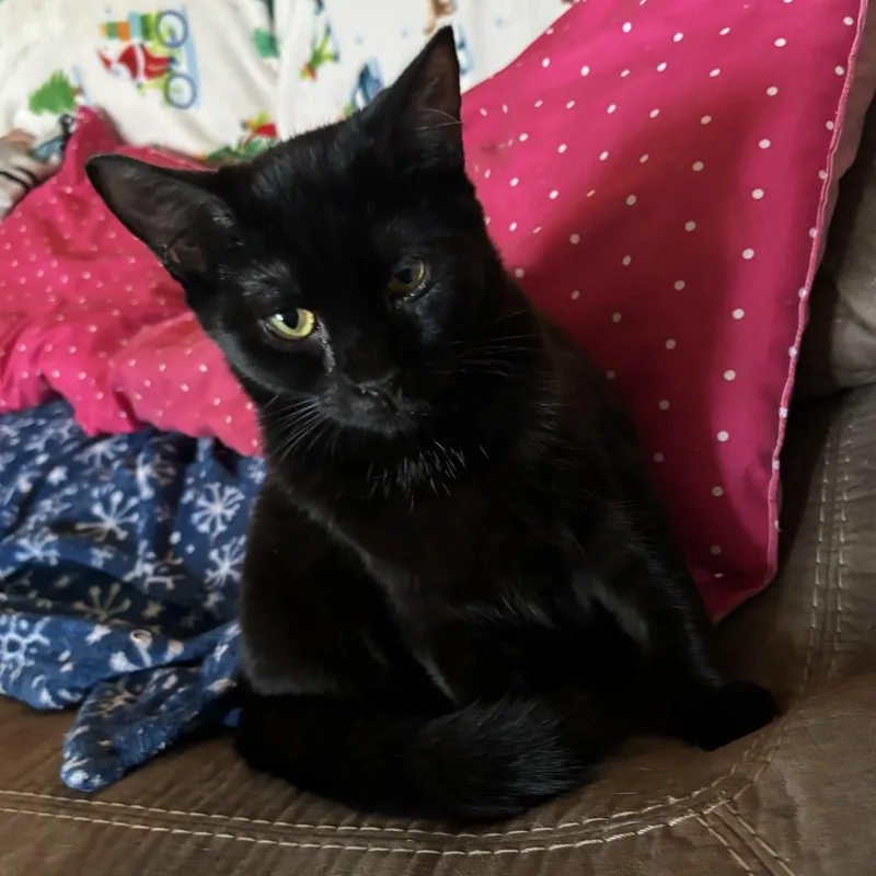 Courtney thumbnail 6