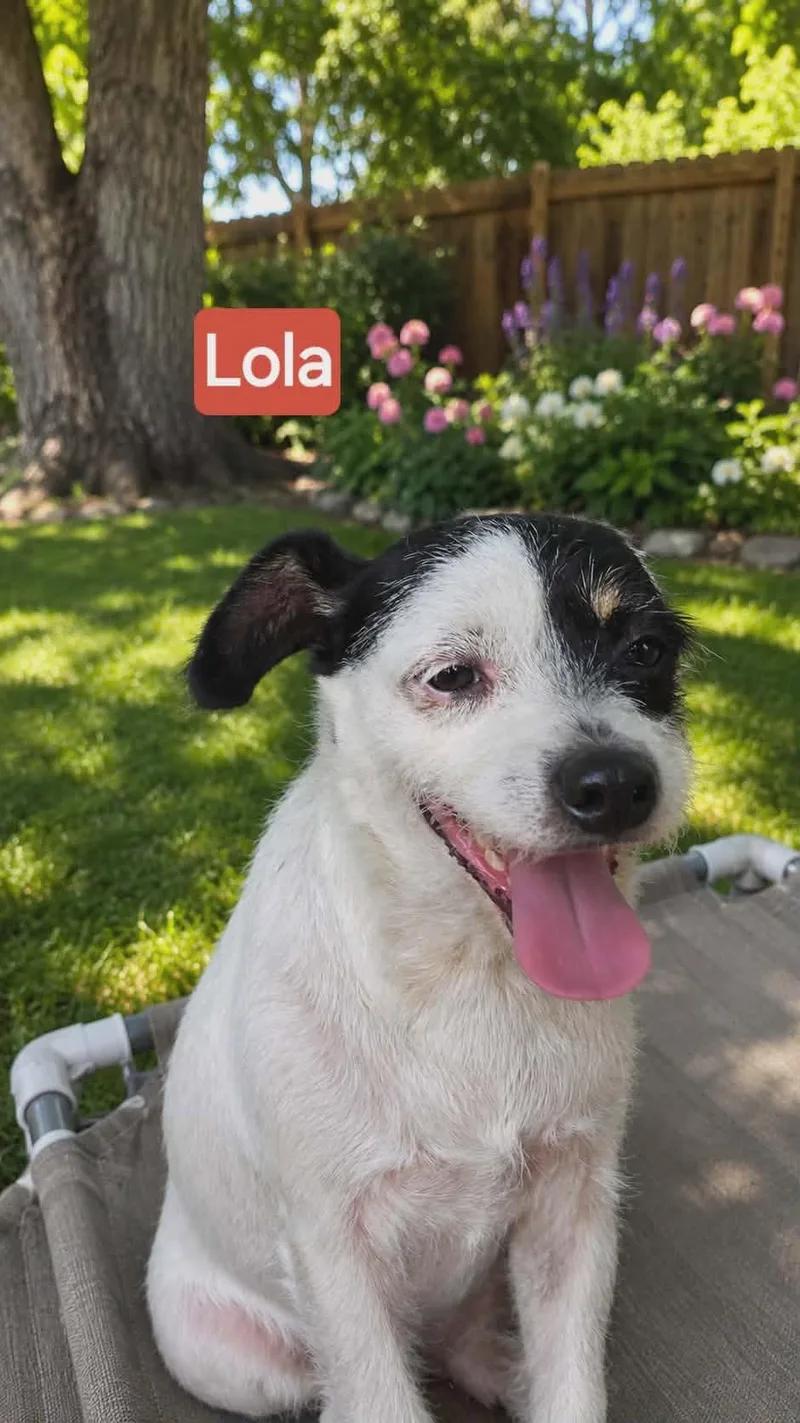 Lola thumbnail 2