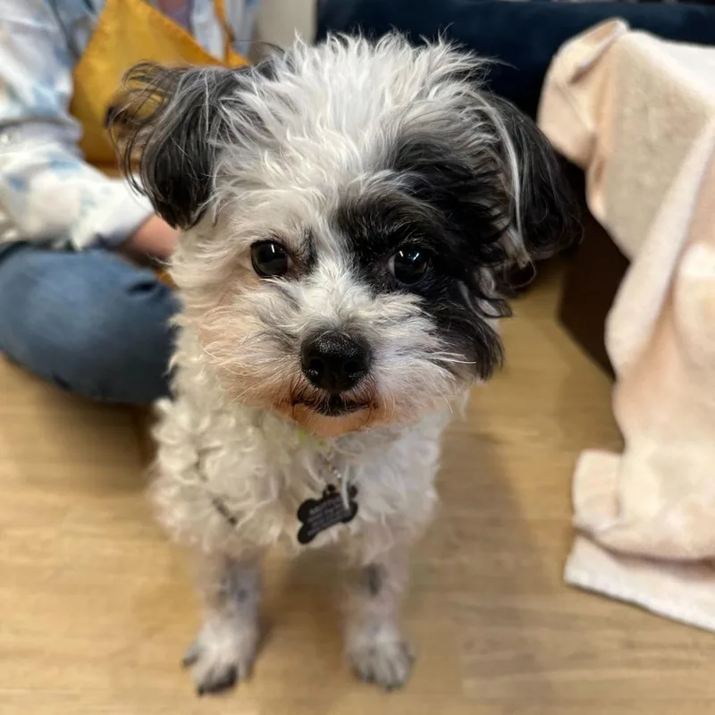 Leafy Lou thumbnail 2